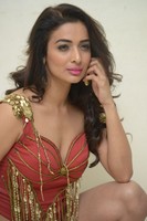 Heena Panchal Hot Red Dress Photos